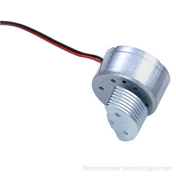 DC 2V Micro Vibration Motors with Galvanized Disk Eccentric Wheel for Game Controller